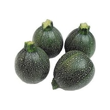 Paket Dolmalık Nadir Topak Kabak Tohumu 85 Tohum+ Toh