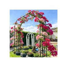 Tırmanma Bitkileri İçin Pergola İle Bahçe Kemeri, Paslanmaz Metal Çerçeve, Galvanizli Çelik Çerçeve, Düğün Pe Diğer