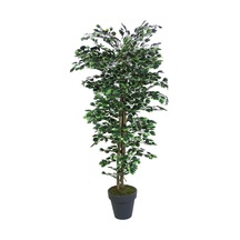 Yapay Paçira Ağacı Alacalı 170 cm