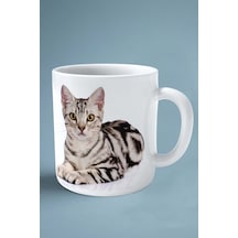 American Shorthair Kedi İsimli Kişiye Özel Baskılı Kupa Bardak Model 1 Çok Renkli