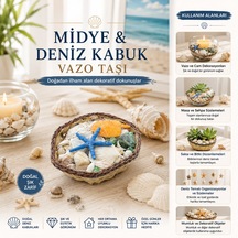 Belirtilmemiş