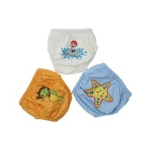 Unisex Çocuk Renkli Alıştırma Külodu 3lü Paket