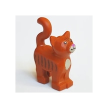 Orjinal Hayvanlar Kedi Cat 13786pb11
