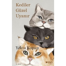 Kediler Güzel Uyanır - Grsy-648336