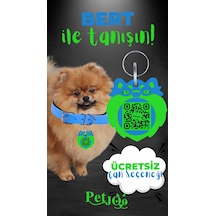 Petjoo 13.Bert Yeşil-Mavi Qr'lı Köpek Künyesi