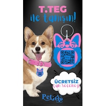 Petjoo 15.T.Teg Mavi-Pembe Qr'lı Köpek Künyesi