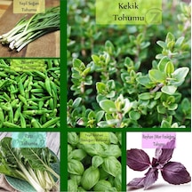 6 Paket Tohum No6 Yeşil Soğan Kekik Yeşil Fesleğen Tohumu Bamya Tohumu Pazı Mor Reyhan Ot Tohumları