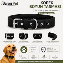 Pedli Köpek Boyun Tasması 26-40 Cm 2 Cm İçi Pedli Metal Tokalı D Halkalı - Siyah Çok Renkli