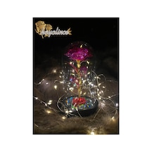 Ledli Fanus İçinde Sonsuzluk Gülü Çok Renkli - 738403598 Çok Renkli