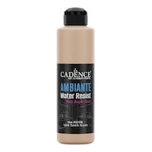 Ambıente Islak Zemin Boyası Aw-16 Karton 250ml + Katalizör 10gr