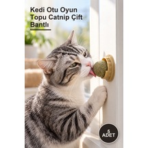 5 Adet Kedi Otu Oyun Topu Catnip Çift Bantlı