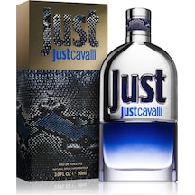 Roberto Cavalli Just Cavalli Erkek Parfüm EDT 90 ML