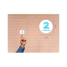 3 Cm 95 Adet Mavi 2 Months Etiketi Puanlı İki Aylık Yuvarlak Mat Çıkartma Bebek Cute Round Sticker Çok Renkli