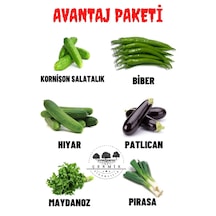 Kornişon Hıyar ,biber , Hıyar , Patlıcan , Maydanoz , Pırasa 60