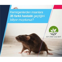 Fare Zehiri Fare İlacı 3 Karışım İlacı Lezzetli Buğdaylar 150 G