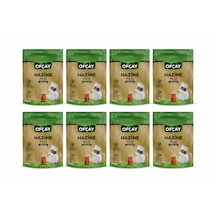Ofçay Hazine Zengindem 30ad 30gr 8pkt Doypack Zipper