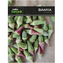 100 Adet Çiçek Bamya Tohumu