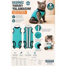 Kedi Ameliyat Sonrası Kıyafeti Cırtlı Koruyucu Tulum Yara Koruma Ve İyileşme Destekleyici