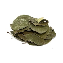Avakado 25 G