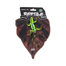Çok Renkli