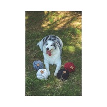 M-pets Coto Whıte Ball 15cm Örgü Top Oyuncak