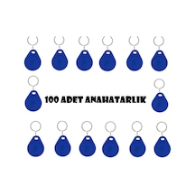 Sonex Tag Manyetik Rfid Anahtarlık - 100  Adet  Proximity Anahtarlık