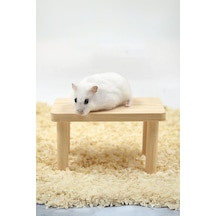 Hamster Ahşap Oyun Platformu - Kafes Aksesuarı Ve Yem Standı