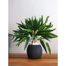 Yapay Bambu Ağacı Sukulent Antrasit Gri Saksıda 30 Cm Boy Çiçek Renkli