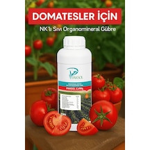 1 kg