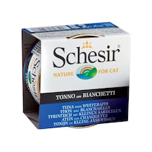 Schesir Ton ve Ringa Balıklı Jöleli Konserve Yetişkin Kedi Maması 85 G