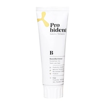 Probident Aktif Probiyotikli Florürsüz Akgünlük Özüt İlaveli Doğal Diş Macunu 75ml