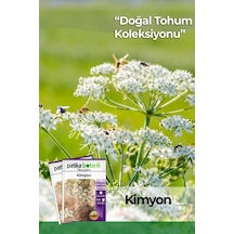 100 Adet Kimyon Tohumu