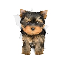 Sevimli Yorkie Köpek Etiket Köpek Çıkartmaları Leptop