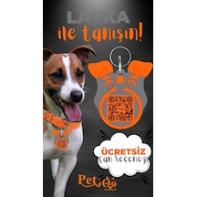 Petjoo 22.Layka Turuncu-Gri Qr'lı Köpek Künyesi