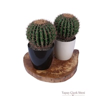 Yapay Çiçek Sitesi Plastik Saksıda 2li Mini Yapay Kaktüs Aranjmanı 45 Cm Yeşil
