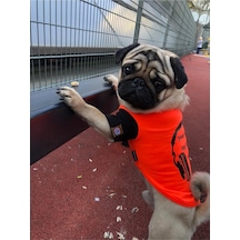 Salya Store Favorite Sound T-shirt Köpek Kıyafeti