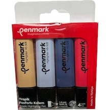 Penmark Fosforlu Kalem 4'lü Asetat Karışık Renk Tropik 86831817113227 Hs-505-4t 709704 Çok Renkli