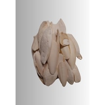 Kalamar Kemiği 100 Gram+mineral Blok Ve Portakallı Enerji Blok Muhabbet,paraket,kanarya Seti