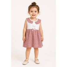 Gül Kurusu