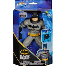 Batman Yüzme Arkadaşları - 6067008
