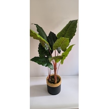 Rüzgar Yapay Çiçekçilik 160 Cm Fil Kulağı Ağacı Yeşil