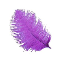 Tahtakaletoptanci Tüy Organizasyon Için 65 Cm X 70 Cm Mor