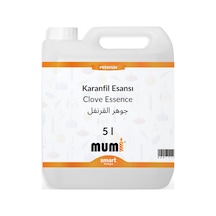Premium Karanfil Mum Esansı 5 Litre Şeffaf