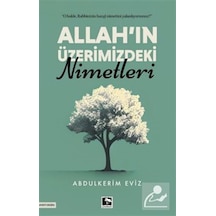 Allah'ın Üzerimizdeki Nimetleri / Abdülkerim Eviz