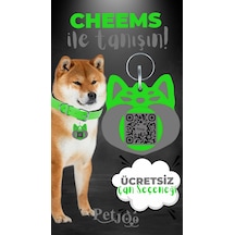 Petjoo 18.Cheems Gri-Yeşil Qr'lı Köpek Künyesi