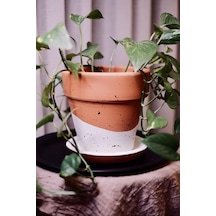 Terracotta Saksı Siyah Beyaz Benekli 16x18