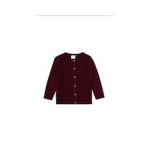 U.s. Polo Assn. Kız Çocuk Plum Hırka Triko 50316292-vr177 New Plum