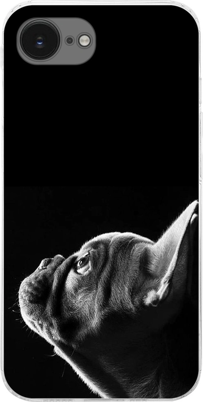 Apple Uyumlu iPhone 16e İle Köpek 1 Baskılı Kamera Korumalı Şeffaf Kılıf