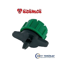 Yeşil Damlatıcı Üzümcü ( Paket Seçiniz )