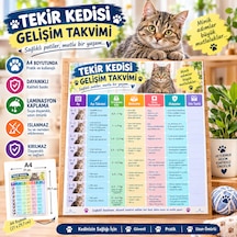 Tekir Kedi Gelişim Takvimi A4 Laminasyon Kaplı Kedi Takvimi Ortalama Kilo Beslenme Hastalık Ve Kilo Takip Tablosu